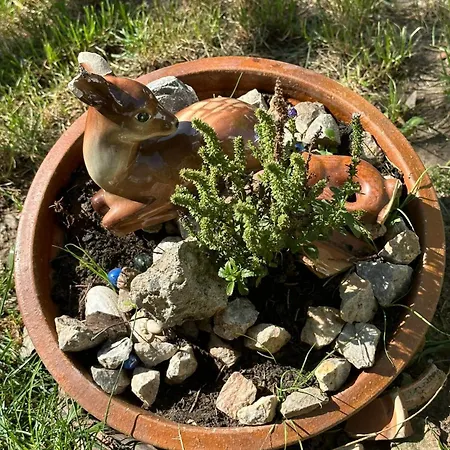 Sobe Sponga 게스트하우스 3*